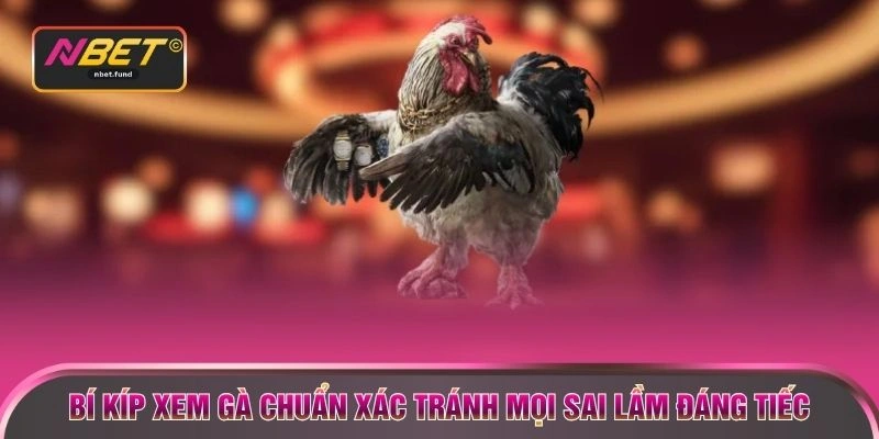 Bí kíp xem gà chuẩn xác tránh mọi sai lầm đáng tiếc