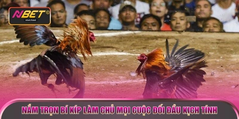 Nắm trọn bí kíp làm chủ mọi cuộc đối đầu kịch tính