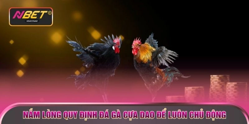 Nắm lòng quy định đá gà cựa dao để luôn chủ động