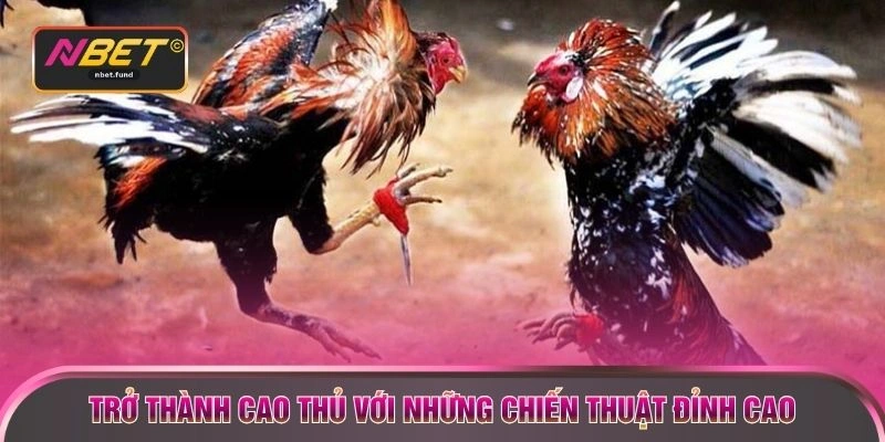 Trở thành cao thủ với những chiến thuật đỉnh cao