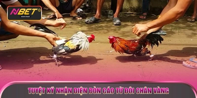 Tuyệt kỹ nhận diện đòn cáo từ đôi chân vàng