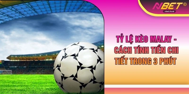 Tỷ Lệ Kèo Malay - Cách Tính Tiền Chi Tiết Trong 3 Phút